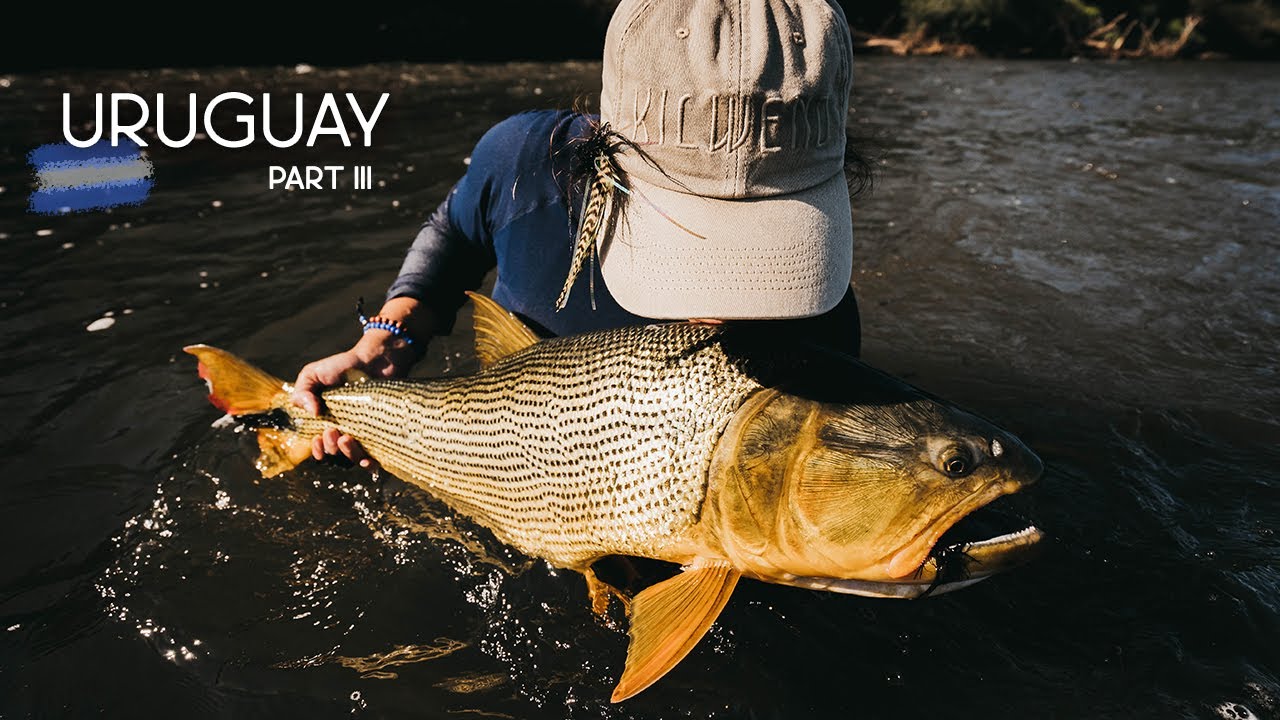 Fly Fishing in Uruguay Part III YouTube