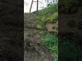 Красноярские Столбы. Лето 2024 год