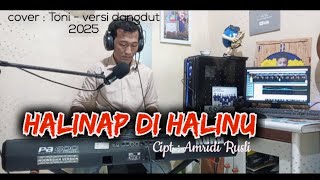 Download Lagu Halinap di halinu lagu lampung  versi dangdut 2025 MP3