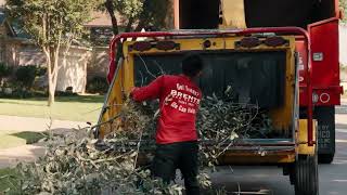 Tree Care Company | Brents Tree Service | Austin, Round Rock, Georgetown TX