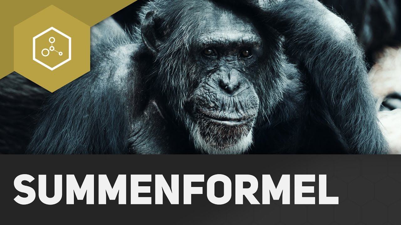 Update Summenformeln herausfinden