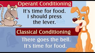 Classical Conditioning and Operant/ Instrumental Learning