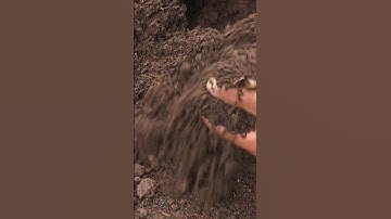 Phân trùn quế là gì?  #plants  #caycanh