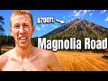 Man vs Marathon: 100 Miles + Magnolia Road