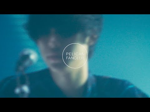 PELICAN FANCLUB - ガガ