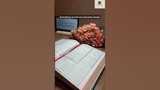 Allah strips us from dunya 5x a day / #shorts #islam #prayer