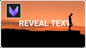 Reveal Text in Vivacut Pro