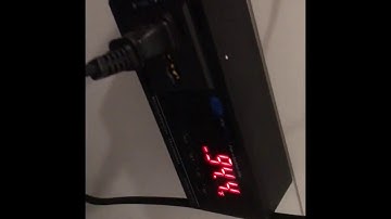 How to Setup a Thermostat for Reptiles (and why you need one!)