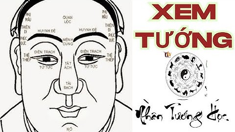 Xem Tướng Là Gì? Cốt Lõi Của Nhân Tướng Học Trong Phong Thủy | Cùng Học Phong Thuỷ