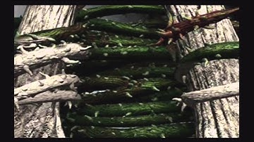 Final Fantasy IX Walkthrough - Part 5 (Escaping Evil Forest)