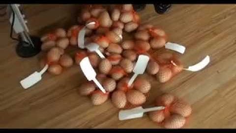 Onion Potato Garlic Orange Mesh Bag Clipping Machine