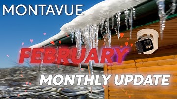 February Update - 180° Cams, Active Deterrence PTZ, Sales, and MORE!