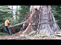 Modern Forest Mega Machines That Are At Another Level ▶1