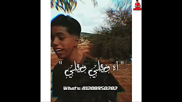 حالة واتس اه ويلي ويلي حمزه العرويه 