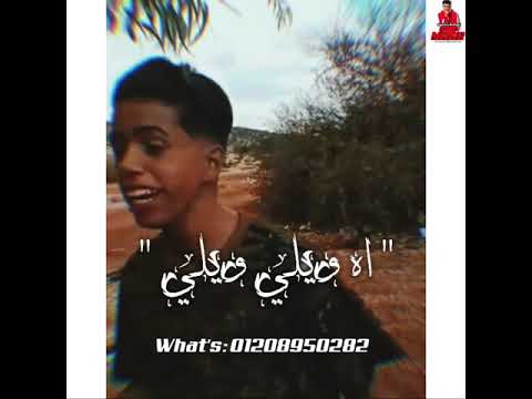 حالة واتس اه ويلي ويلي حمزه العرويه