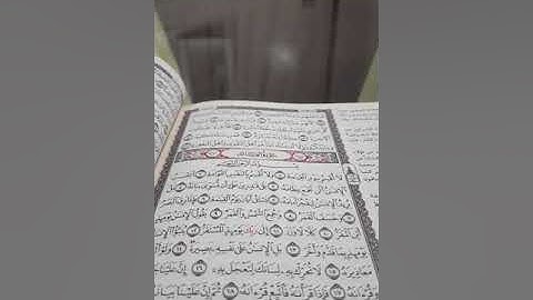 سورة  القيامه بصوت القاريء احمد عبد الرحيم