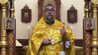 Проповедь в Неделю 18-ю по Пятидесятнице: христианская любовь побуждает к действию и милосердию