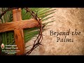Beyond the palms  palm sunday lent 6 march 24 2024