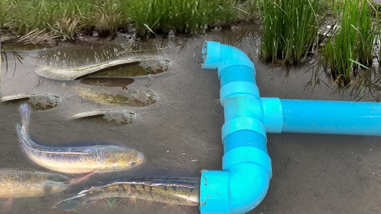 This Boy Make Electric Fan Guard with PVC Pipe for Fish Trap To Catch - [PVC Pipe DIY]