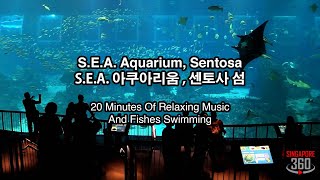 S.E.A. Aquarium Sentosa - 20 Minutes Of Relaxing Music And Fishes Swimming (S.E.A. 아쿠아리움, 센토사 섬)