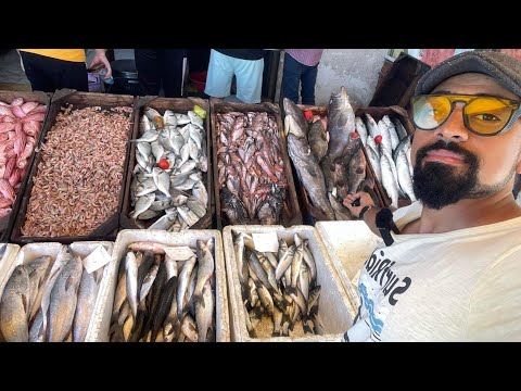 حلقه أسماك مطروح و سمك بحر مطروح مع شيخ صيادين مطروح و عم غنيوه