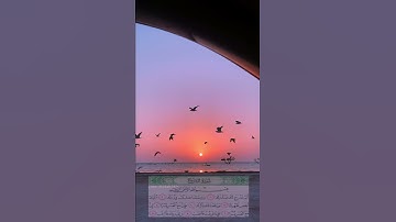 حالات واتس أب / سورة الشرح راحه نفسيه