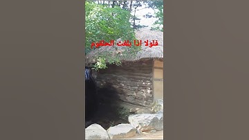 فلولا اذا بلغت الحلقوم .. سورة الواقعة