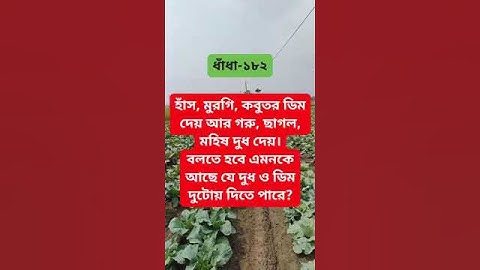 Dont try this at home! (How to get samosa jaldi) @Abhisheksonpaliya