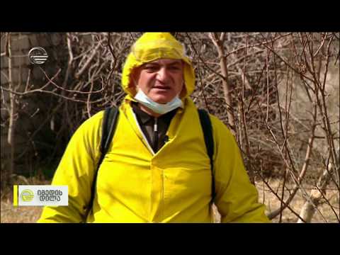 მებაღეობა - საგაზაფხულო სამუშაოები