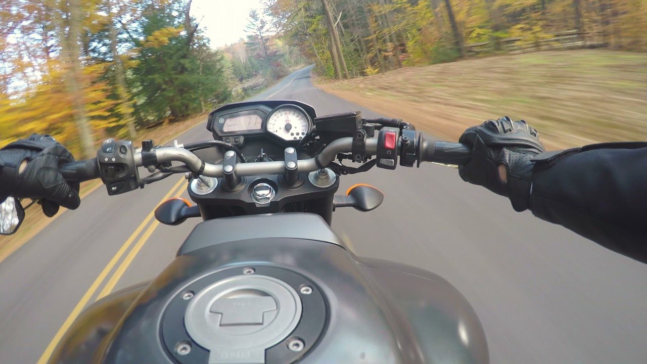 Yamaha FZ8 Sc Project Pure Sound