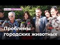 Бойко про животных в горсовете