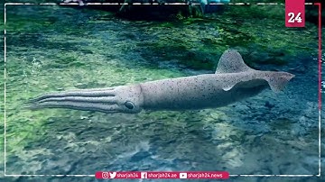 Scientists create human cells with squid-like transparency