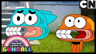 Gumball | The Watterson's Hairy Family Friend | Cartoon Network