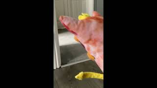 Part 1 of the elgato zombie apocalypse movie 