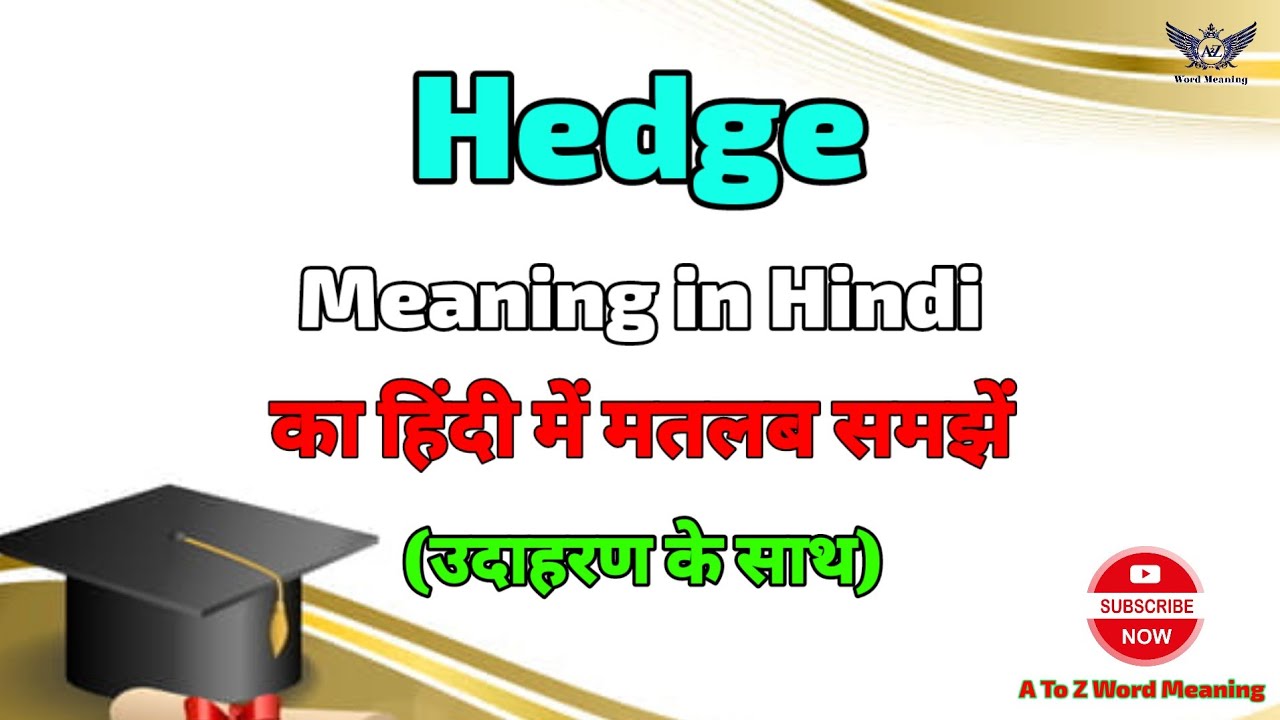 Hedge meaning in Hindi ? Hedge ka kya matlab hota hai ? A To Z Word Meaning