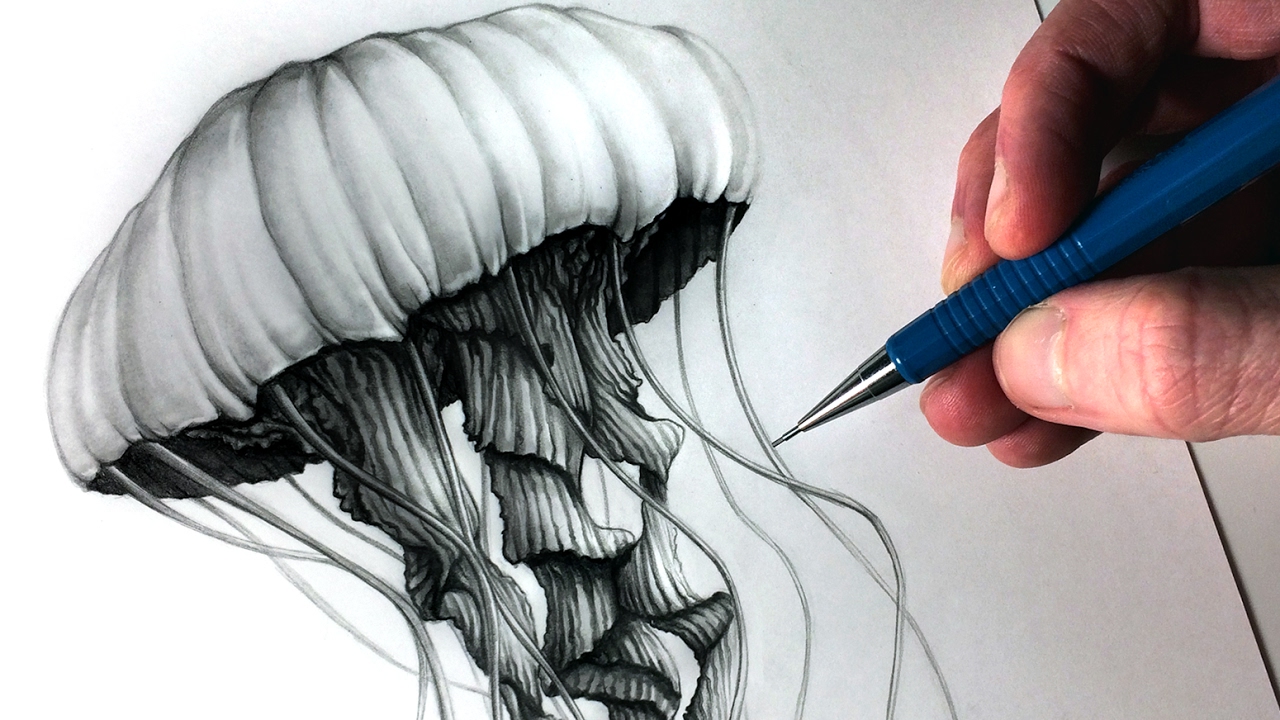 How to Draw a Jellyfish - YouTube