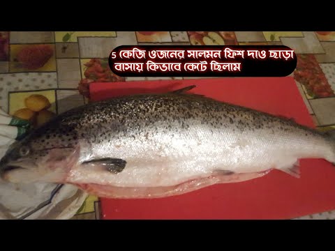 ভিডিও: কিভাবে সালমন সাজাইয়া