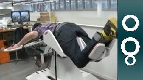 See, feel and smell the world like a bird with Birdly flight simulator