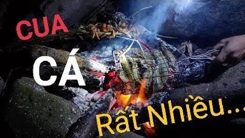 CÂU CÁ NHEO SUỐI TRONG ĐÊM VÀ THƯỞNG THỨC THỊT CÁ NHEO SUỐI NƯỚNG MỌI TƯƠI NGON | BẢN LÀNG MIỀN NÚI