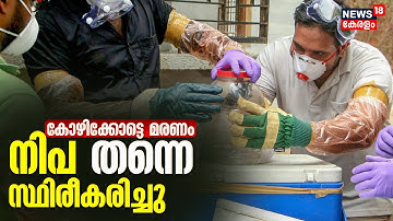 Nipah Virus Kerala | Kozhikode നിപ സ്ഥിരീകരിച്ചു; മരിച്ച രണ്ട് പേർക്കും രോഗം | Veena George