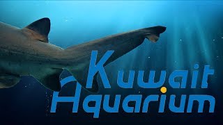 Kuwait Aquarium