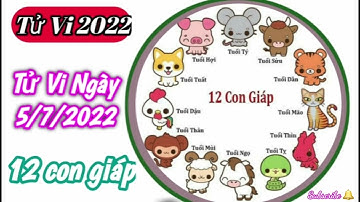 Tử Vi Hàng Ngày 5/7/2022 của 12 Con Giáp @Luangiai12congiap