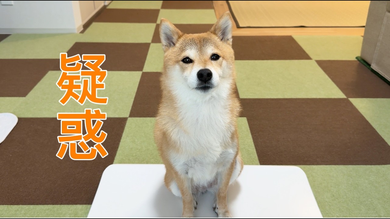 福ちゃんの痩せた疑惑について真実は…