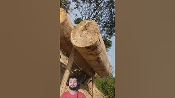 Genius Way to Load Heavy Logs Fast || Logs Loading Technique #youtubeshorts #shortsfeed #woodwork
