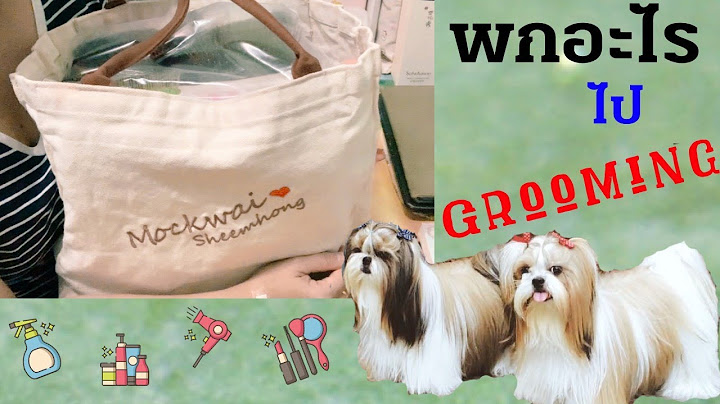 พกอะไรในกระเป๋าไปกรูมมิ่ง I What's in MS's bag I ม๊อกไกว ฉีม่ง