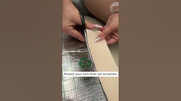 Protect Your Sofa from Cat Scratches with This Couch Protector!