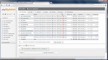 Beginner’s Guide to WordPress Database Management with phpMyAdmin