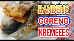Resep Bandeng Goreng Kremes Yang Enak Tanpa Telur - Durasi: 4.27. 