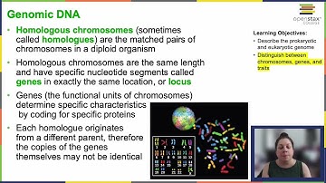 OpenStax Concepts of Biology Chapter 6.1