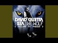 Miniature de la vidéo de la chanson She Wolf (Falling To Pieces) (Sandro Silva Remix)
